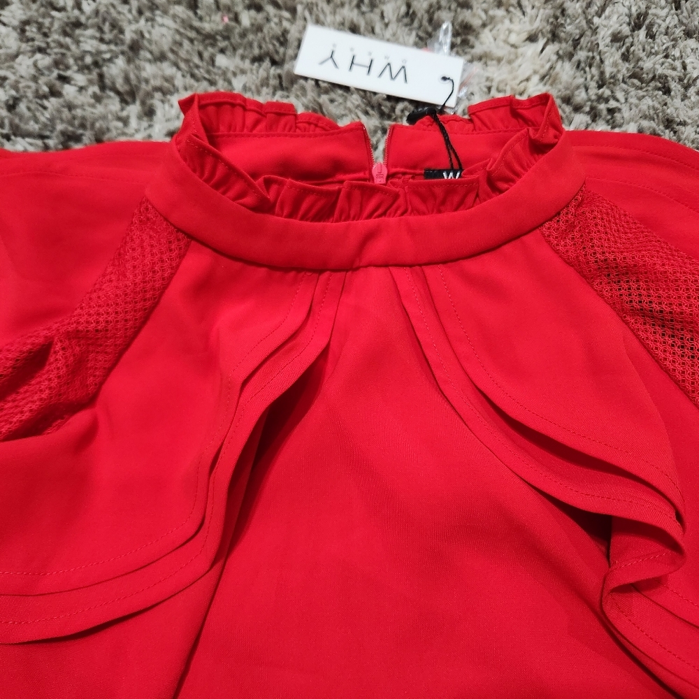 WHY DRESS -Ruffle MESH LONG SLEEVE Size L - Picture 2 of 7